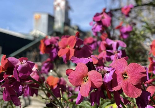 The Ultimate Guide to Gift Shops in Eugene, Oregon: Unique Gifts for Every Occasion